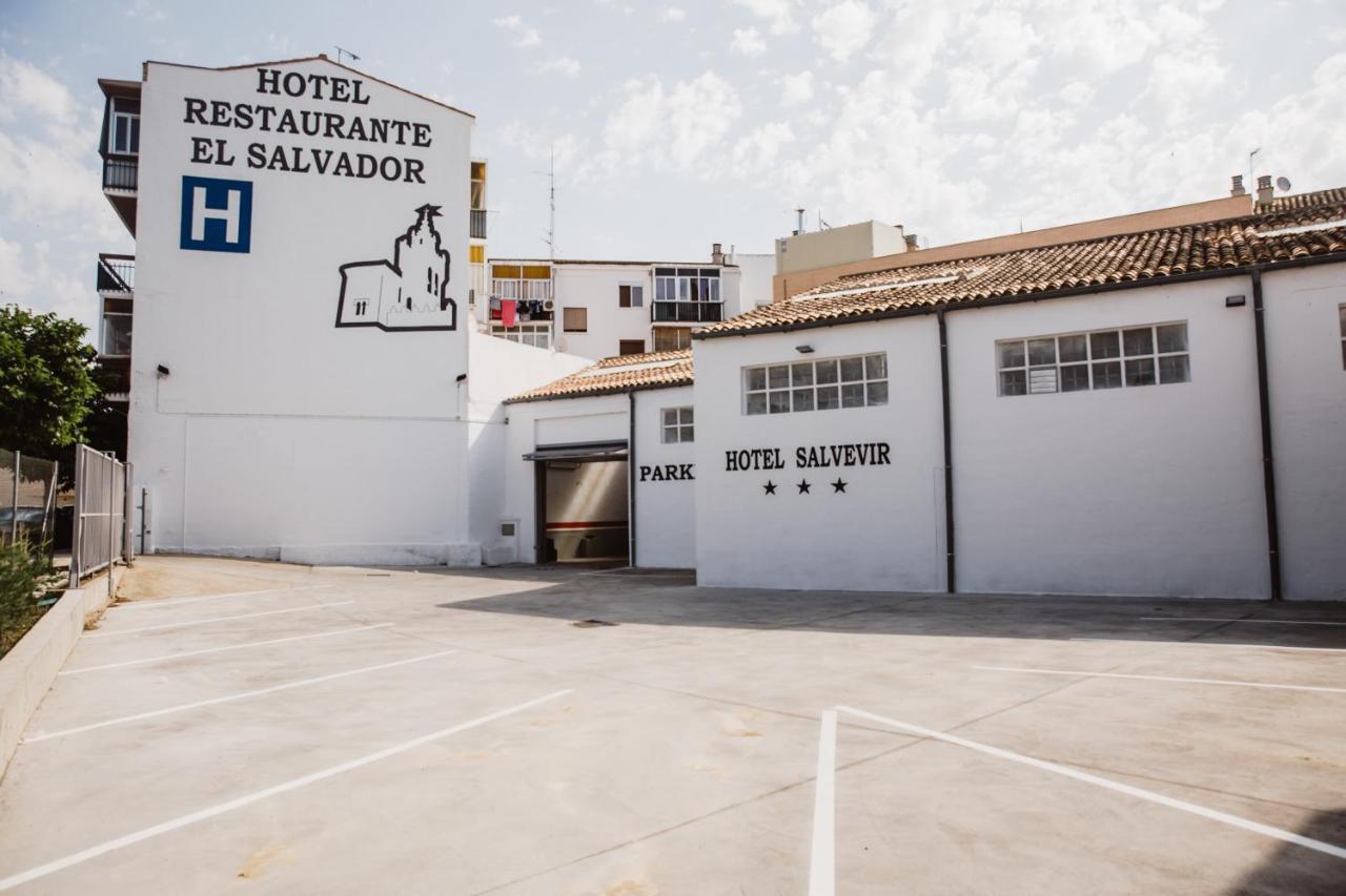 Hotel Salvevir Ejea De Los Caballeros Exterior foto